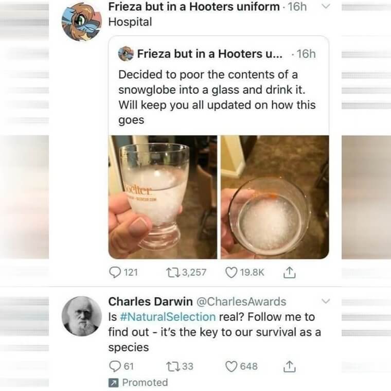 自然淘汰が本当なのかどうかを調べてみよう