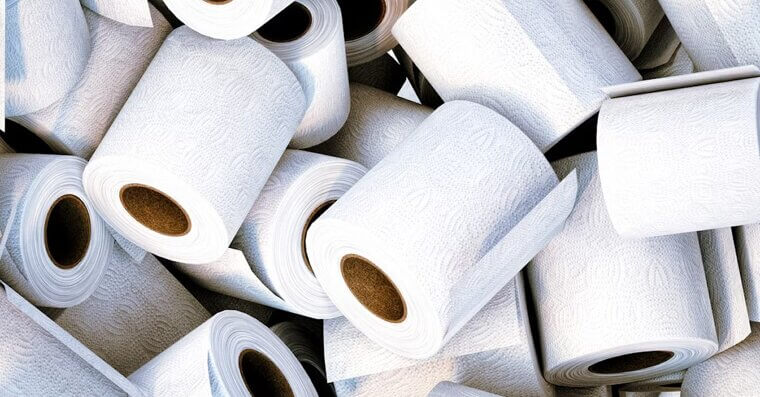 A Roll of Toilet Paper