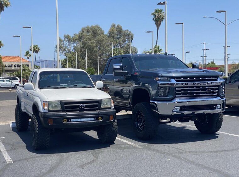 Kids and Pets Struggle With the Height