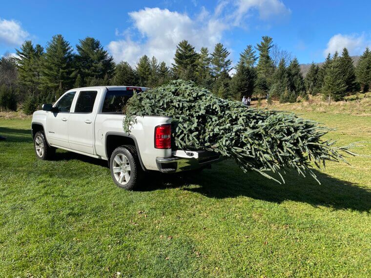 Friends Suddenly Expect Favors