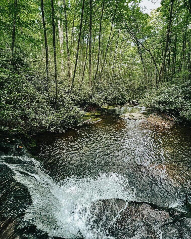 Wie man einen Fluss sicher überquert