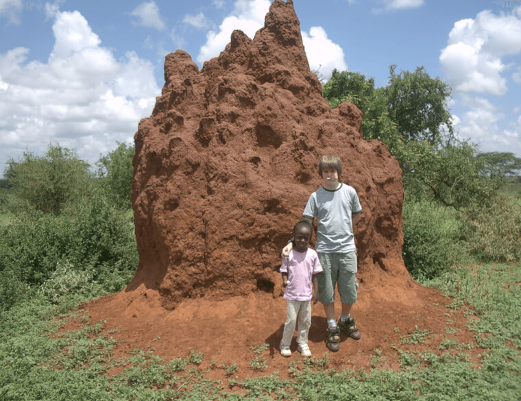Zerkleinerte Termiten können als Insektenschutzmittel verwendet werden