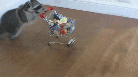 The Emotional Power of a Grocery List