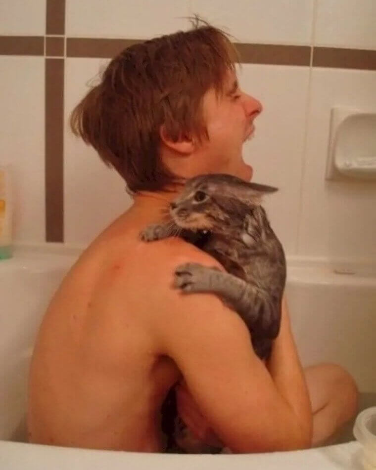 Is This Really The Best Way To Wash A Cat?