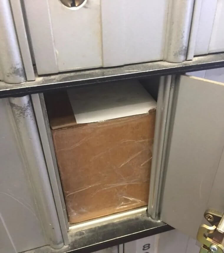 This Has To Have Been On Purpose
