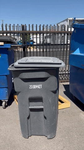 The Self-Checkout That Hates You