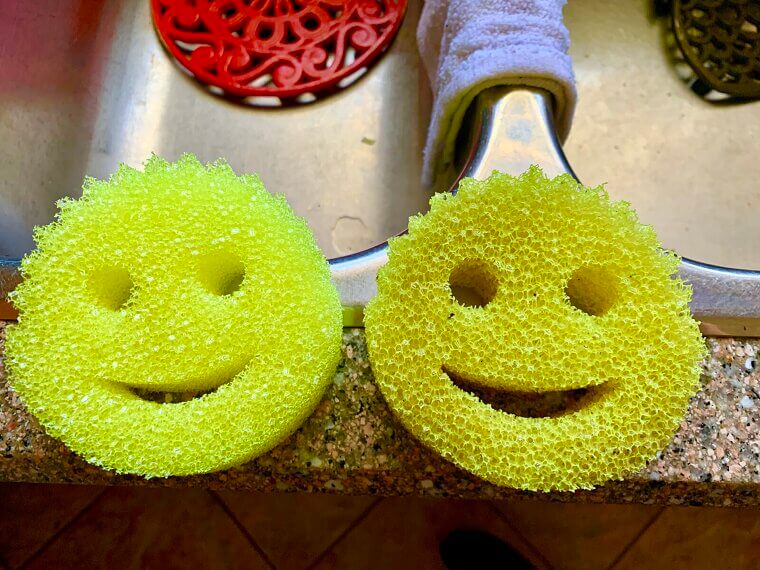 Dish Sponges