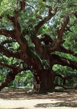 Massive Things People With Megalophobia Might Want to Steer Away From