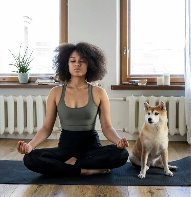 The Creators & Comfort-Seekers: Taurus, Cancer, Pisces, Libra