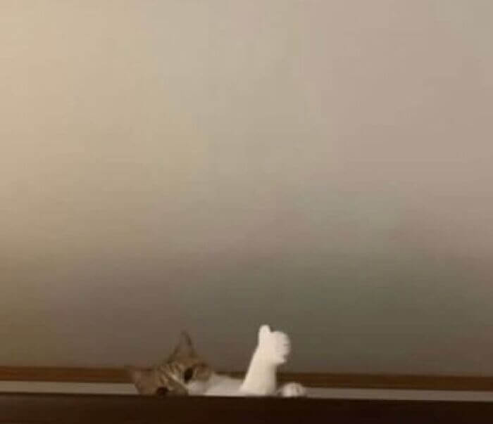 Everything Is Going To Be Alright