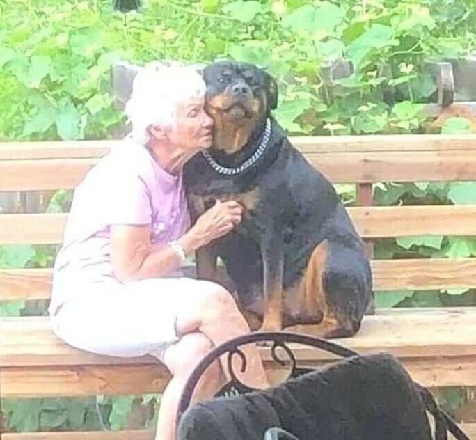 'Who's A Good Boy? '