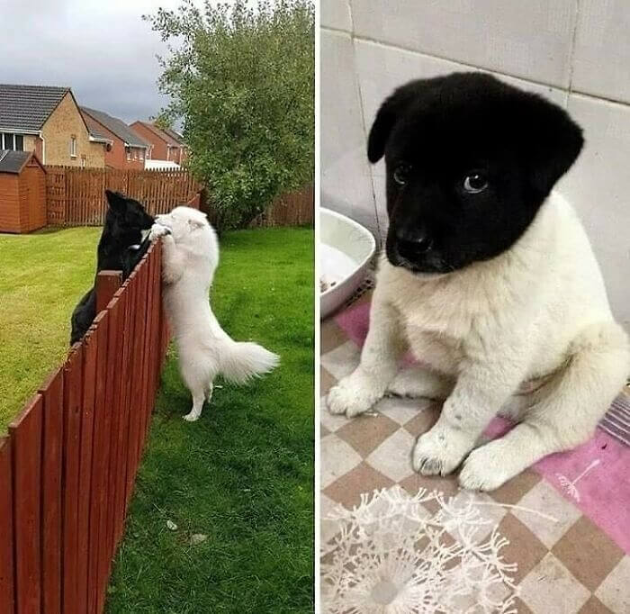 Someone Has Been Busy