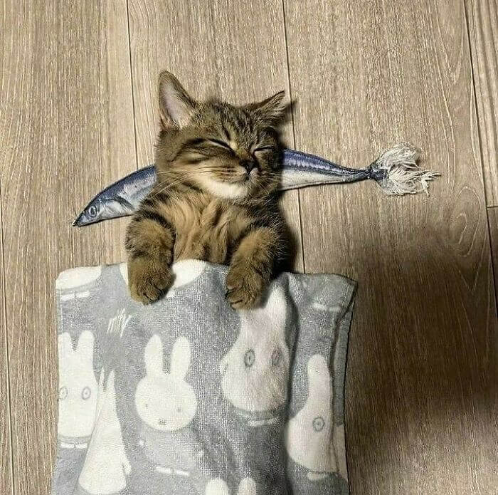 What Absolute Serenity Looks Like: