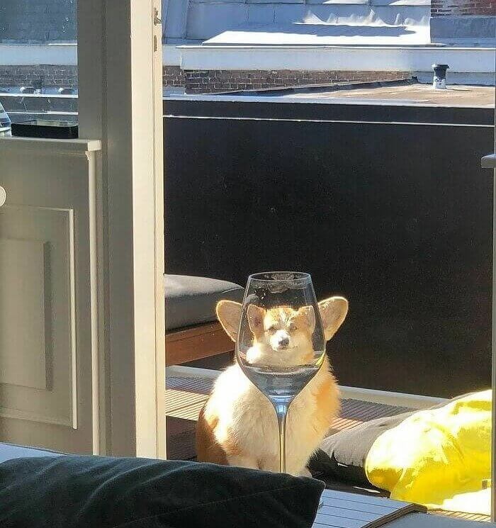 Another Great Shot By The Owner