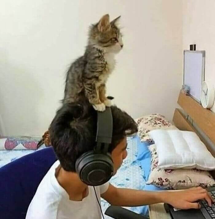 You Can Tell Who's In Charge