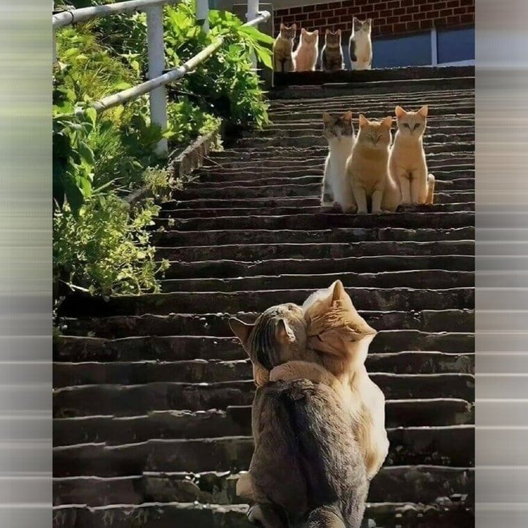 These Two Have No Problem With PDA