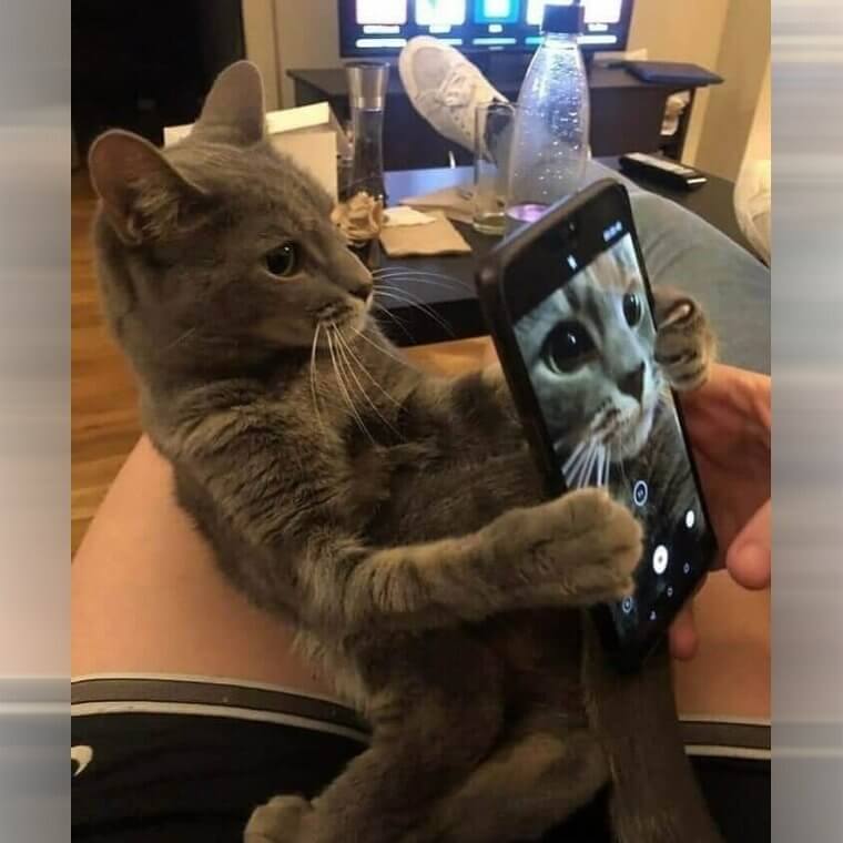 'No, Take It Like This Human'