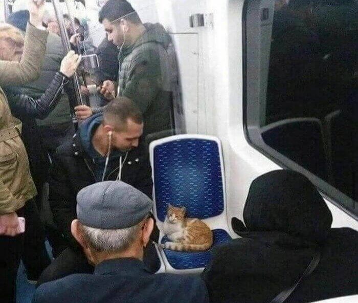 Everyone Gets A Seat On The Bus