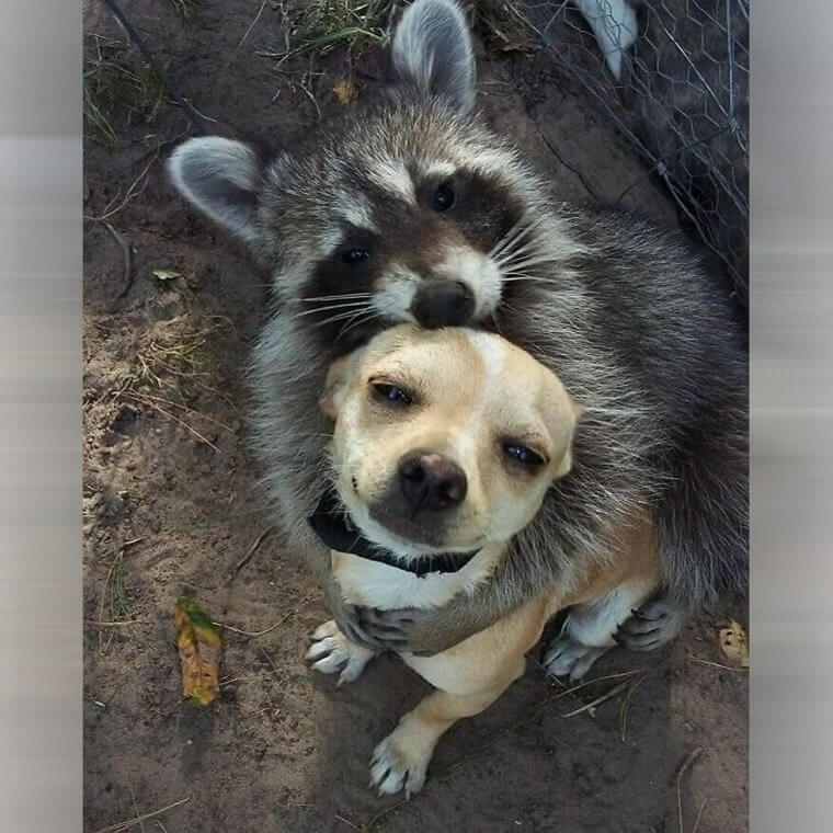 If These Two Can Get Along, So Can Anybody