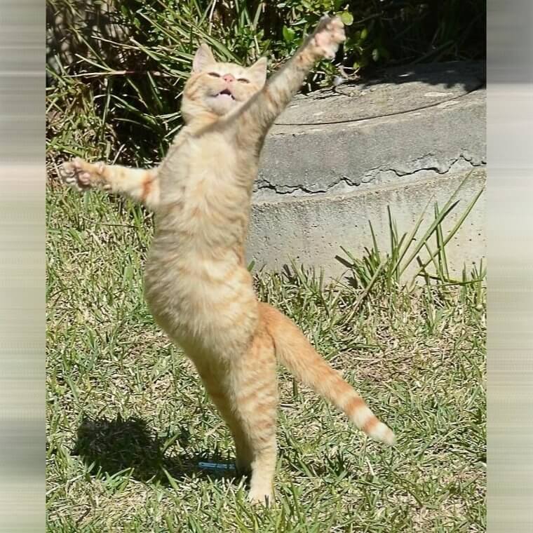 Someone Is Feeling Great Today