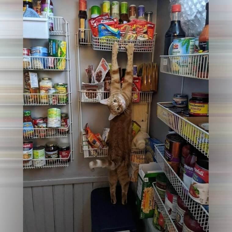 Hanging On For Dear Life