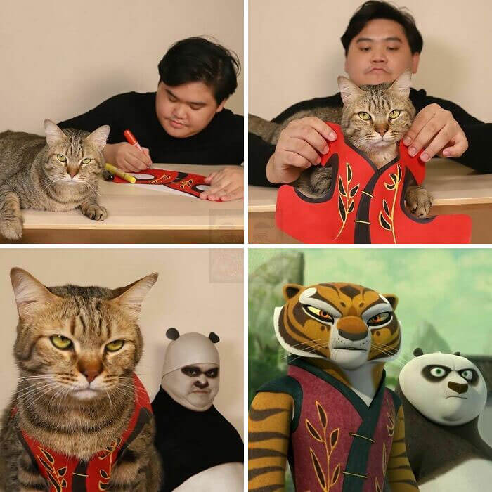 Cosplaying With Your Cat