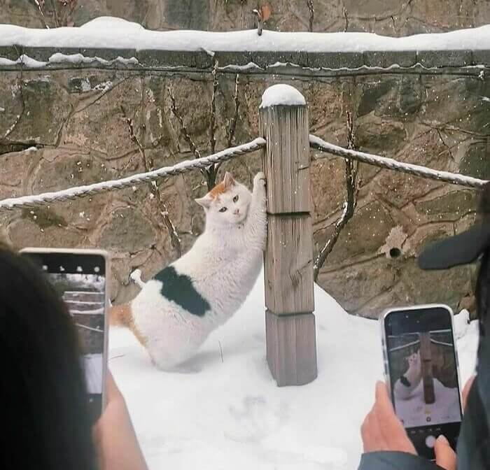 Everyone Is An Influencer Now