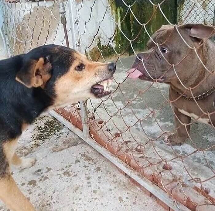 Someone Woke Up On The Wrong Side Of The Bed