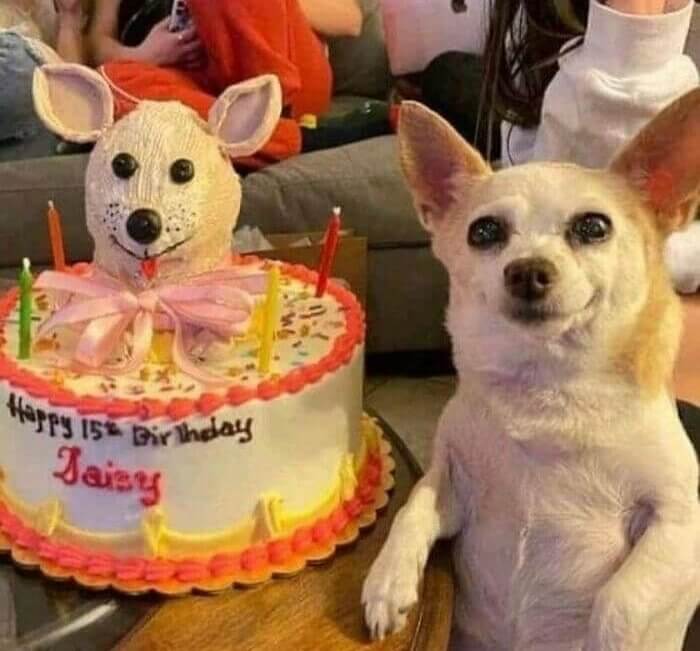 The Perfect Birthday Cake