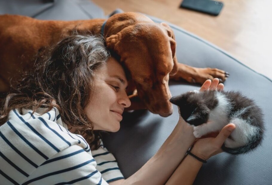 Photos That Prove Why Everyone Needs a Pet in Their Life