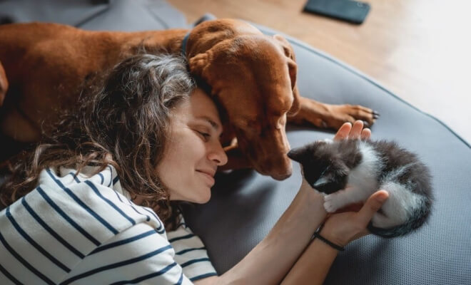 Photos That Prove Why Everyone Needs a Pet in Their Life