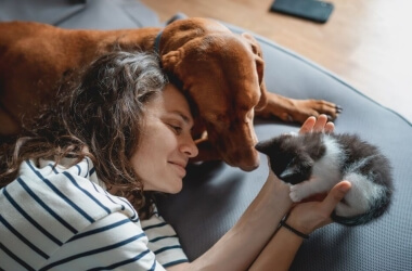 Photos That Prove Why Everyone Needs a Pet in Their Life