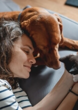 Photos That Prove Why Everyone Needs a Pet in Their Life