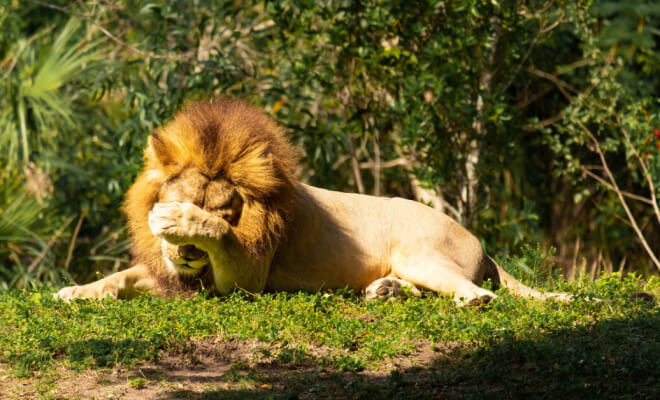 Unbezahlbare Dinge, die Menschen online gesehen und geteilt haben, zum Glück für uns