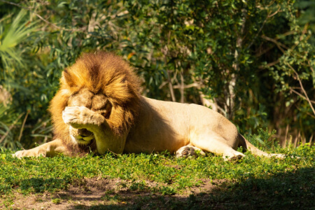 사람들이 온라인에서 보고 공유한 귀중한 것들, 다행히도 우리에게는