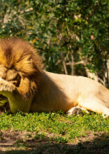 Onbetaalbare dingen die mensen online zagen en deelden, gelukkig voor ons