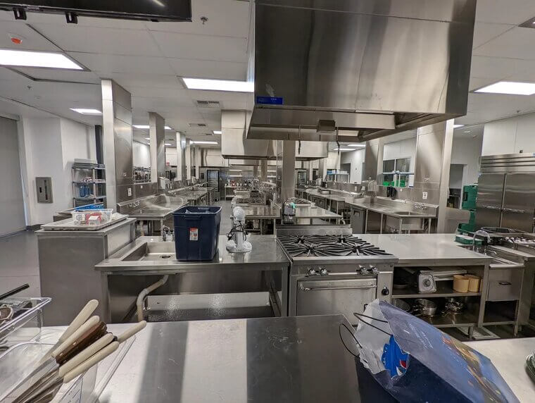 Learning Never Gets Old