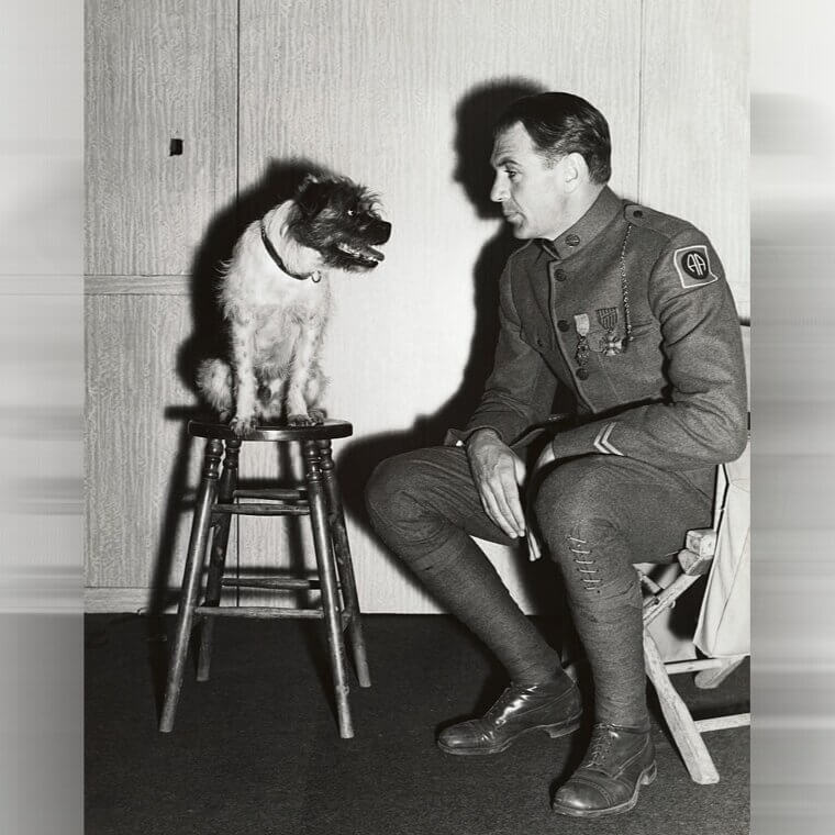 Wanting to Branch Out