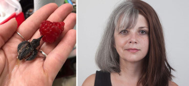 50 Fascinating Comparison Photos That Will Give You An Entirely New Point Of View