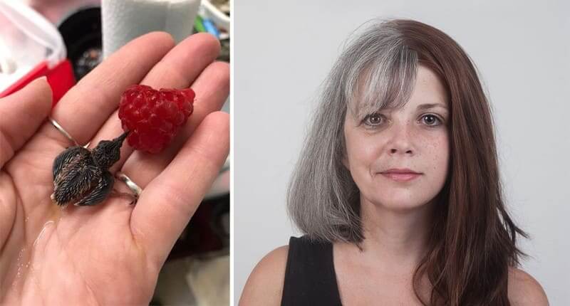 50 Fascinating Comparison Photos That Will Give You An Entirely New Point Of View