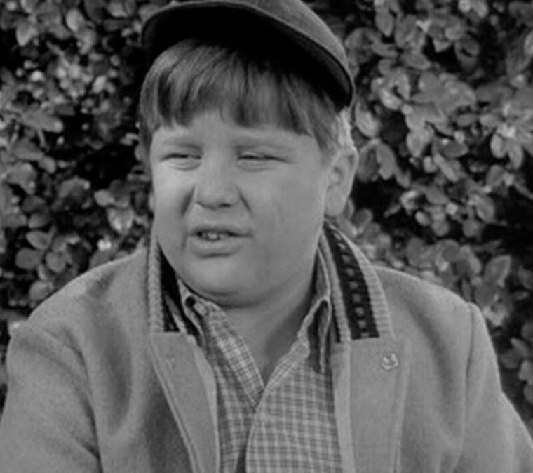 Gee, Wally! 33 Little-Known Facts About Everyone's Favorite Family Show ...