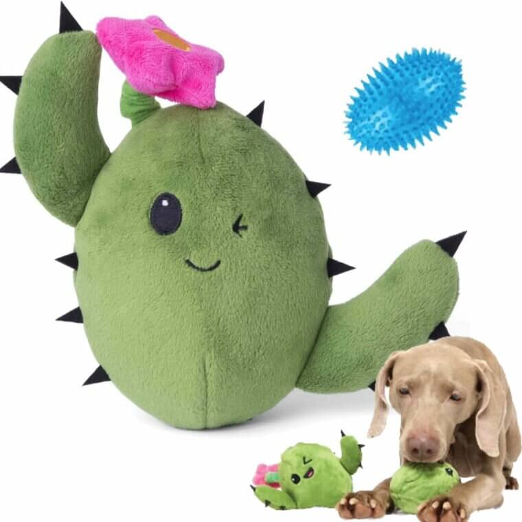 Barkbox Cactus Toy - Fun Interactive Plush for Dogs