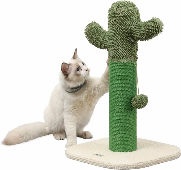 Pecos Cactus Scratcher - Fun & Stylish Cat Scratch Post