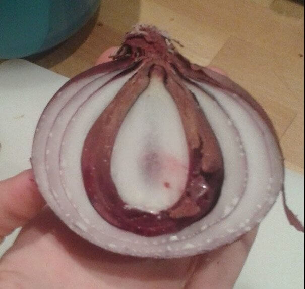 How Did This Onion Rot in the Middle?