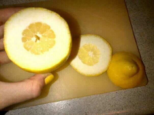 When Life Actually Gives You Lemons