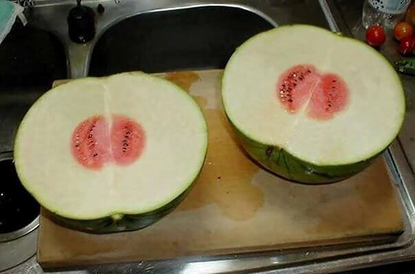 These Watermelons Could Use A Little Water