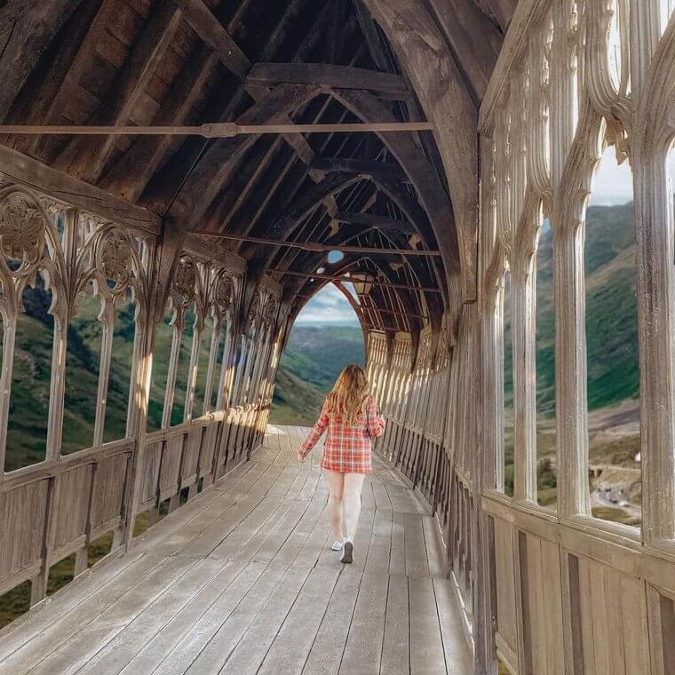 Harry Potter Continued