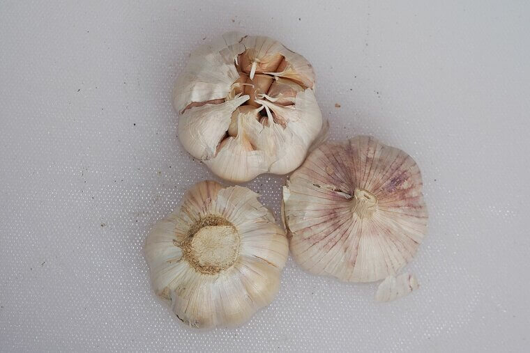 Repel Annoying Aphids With a Spray Made From Garlic Scraps