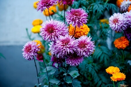 Secret Garden Hacks Using Pantry Staples