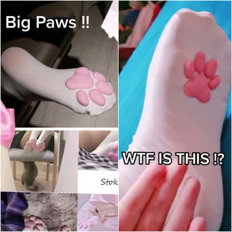 Embrace Your Inner Animal With Big Paw Sock Soles